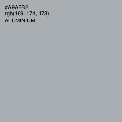 #A9AEB2 - Aluminium Color Image