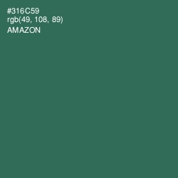 #316C59 - Amazon Color Image