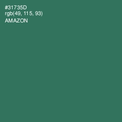 #31735D - Amazon Color Image