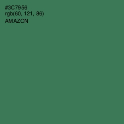 #3C7956 - Amazon Color Image