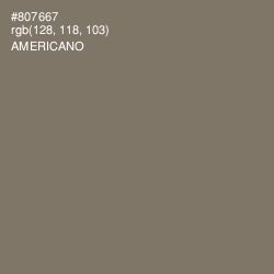 #807667 - Americano Color Image