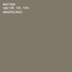 #807868 - Americano Color Image