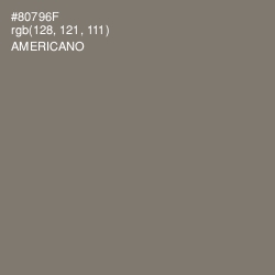 #80796F - Americano Color Image