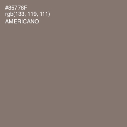 #85776F - Americano Color Image