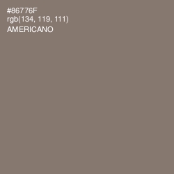 #86776F - Americano Color Image
