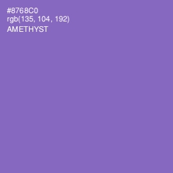 #8768C0 - Amethyst Color Image