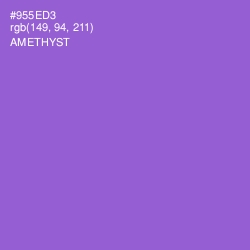 #955ED3 - Amethyst Color Image