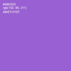 #9860D3 - Amethyst Color Image