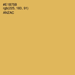 #E1B75B - Anzac Color Image