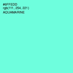 #6FFEDD - Aquamarine Color Image
