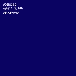 #0B0362 - Arapawa Color Image