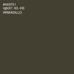 #433F31 - Armadillo Color Image