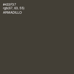 #433F37 - Armadillo Color Image