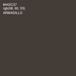 #443C37 - Armadillo Color Image