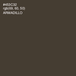 #453C32 - Armadillo Color Image