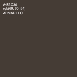 #453C36 - Armadillo Color Image