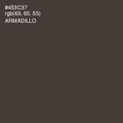 #453C37 - Armadillo Color Image