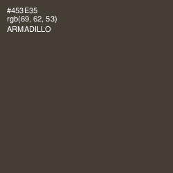 #453E35 - Armadillo Color Image