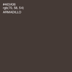 #463A36 - Armadillo Color Image