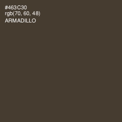 #463C30 - Armadillo Color Image