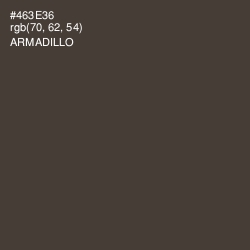 #463E36 - Armadillo Color Image