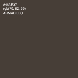 #463E37 - Armadillo Color Image