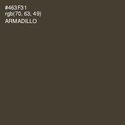 #463F31 - Armadillo Color Image