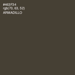 #463F34 - Armadillo Color Image