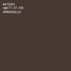 #473931 - Armadillo Color Image