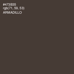 #473B35 - Armadillo Color Image