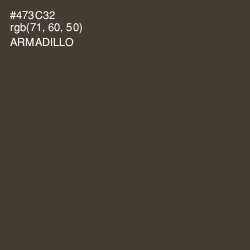 #473C32 - Armadillo Color Image