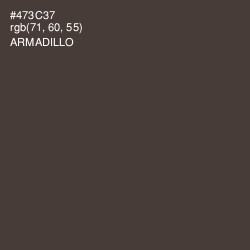 #473C37 - Armadillo Color Image