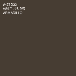 #473D32 - Armadillo Color Image