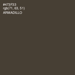 #473F33 - Armadillo Color Image