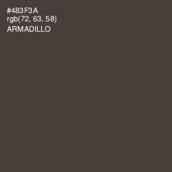 #483F3A - Armadillo Color Image