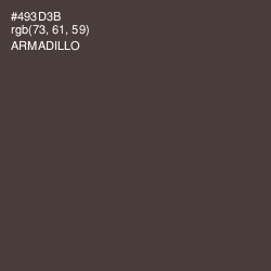 #493D3B - Armadillo Color Image