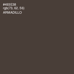 #493E38 - Armadillo Color Image