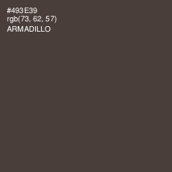 #493E39 - Armadillo Color Image
