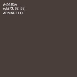 #493E3A - Armadillo Color Image