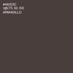 #493E3C - Armadillo Color Image