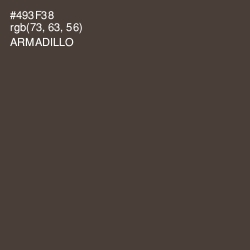 #493F38 - Armadillo Color Image