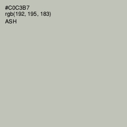 #C0C3B7 - Ash Color Image