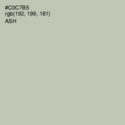 #C0C7B5 - Ash Color Image
