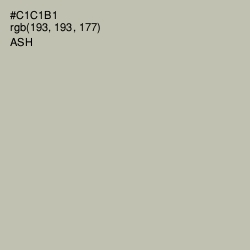#C1C1B1 - Ash Color Image
