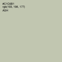 #C1C6B1 - Ash Color Image