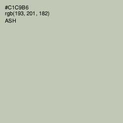 #C1C9B6 - Ash Color Image