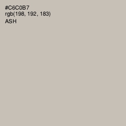 #C6C0B7 - Ash Color Image
