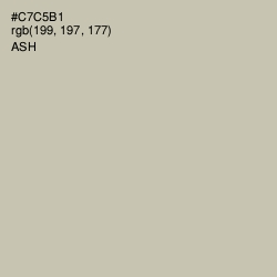 #C7C5B1 - Ash Color Image