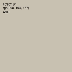 #C8C1B1 - Ash Color Image
