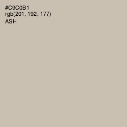 #C9C0B1 - Ash Color Image